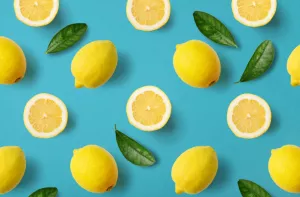 Melhores alimentos desintoxicantes Ilustração de Melhores alimentos desintoxicantes