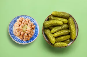 Imagem ilustrativa do artigo Alimentos fermentados saúde e bem-estar através do equilíbrio do microbioma