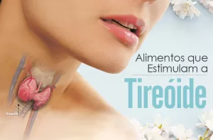 alimentos que estimulam as glândulas de tireóide Ilustração de alimentos que estimulam as glândulas de tireóide