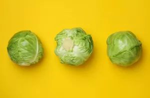 Alimentos que fazem inchar a barriga Ilustração de Alimentos que fazem inchar a barriga