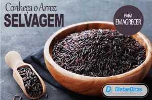 arroz selvagem Ilustração de arroz selvagem