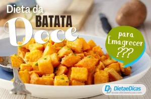 batata doce Ilustração de batata doce