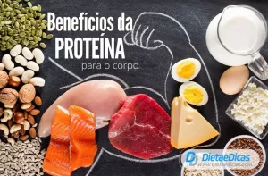 benefícios da proteína Ilustração de benefícios da proteína