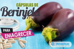 berinjela Ilustração de berinjela