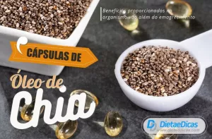 capsulas de óleo de chia Ilustração de capsulas de óleo de chia