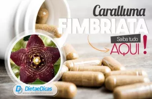 Ilustração de caralluma fimbriata