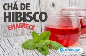 Chá de hibisco Ilustração de Chá de hibisco