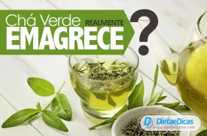 chá verde benefícios Ilustração de chá verde benefícios