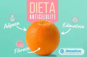 Dieta anticelulite Ilustração de Dieta anticelulite