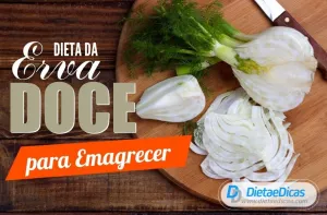 dieta da erva doce Ilustração de dieta da erva doce