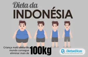 Dieta da Indonésia Ilustração de Dieta da Indonésia