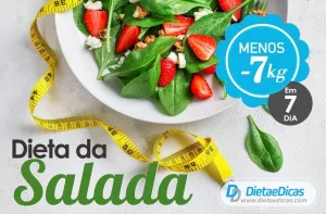 dieta da salada Ilustração de dieta da salada