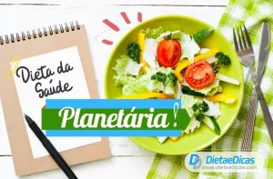 dieta da saúde planetária Ilustração de dieta da saúde planetária