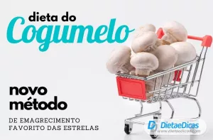 Dieta do cogumelo Ilustração de Dieta do cogumelo