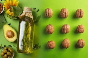 Dieta rica em gordura Ilustração de Dieta rica em gordura