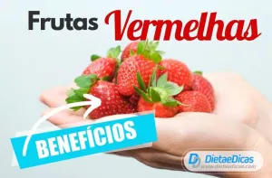 Frutas vermelhas Ilustração de Frutas vermelhas