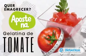 gelatina de tomate Ilustração de gelatina de tomate