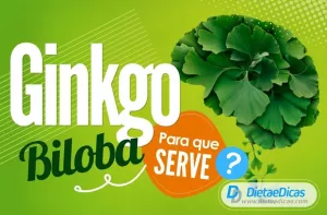 ginkgo biloba Ilustração de ginkgo biloba