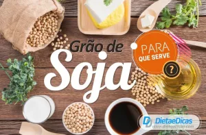 grão de soja Ilustração de grão de soja