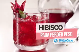 hibisco Ilustração de hibisco