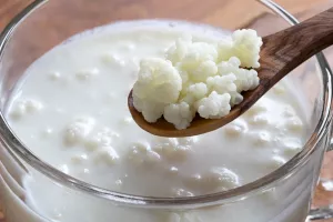 Ilustração de Kefir probiótico