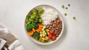 Ilustração de Prato equilibrado com feijão cozido, arroz, legumes e folhas, representando uma alimentação variada e segura.