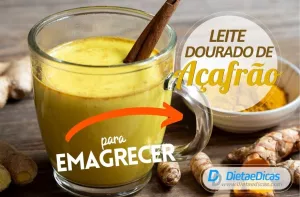leite dourado de açafrão Ilustração de leite dourado de açafrão