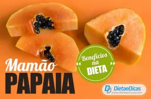 mamão papaia Ilustração de mamão papaia