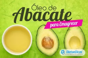 óleo de abacate Ilustração de óleo de abacate