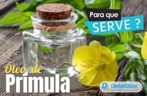 óleo de prímula Ilustração de óleo de prímula