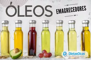 óleos emagrecedores Ilustração de óleos emagrecedores