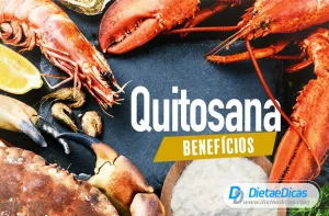 quitosana Ilustração de quitosana