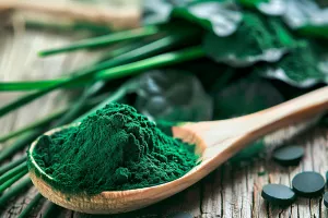spirulina benefícios Ilustração de spirulina benefícios