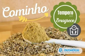 tempero cominho Ilustração de tempero cominho